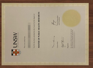 Process of The University of New South Wales diploma.