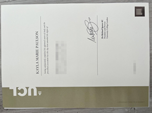 Steps to order University College London diploma online.