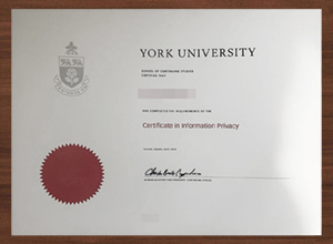 How to order a 100% copy York University diploma?